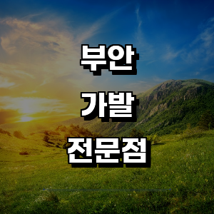 부안군 가발