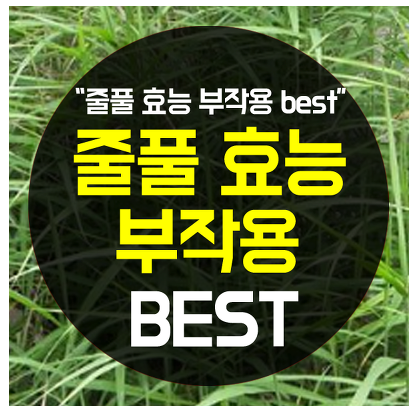  줄풀효능 이런 능력이있다니