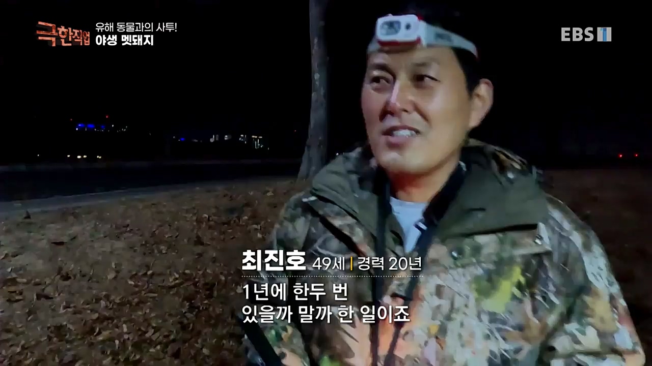 TV - 교육의 중심 EBS유해 동물과의 사투! 등검은말벌, 야생 멧돼지 퇴치.mp4_20221129_195018.069.jpg