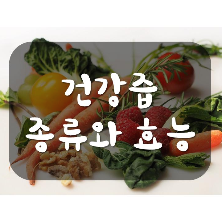  건강즙 종류와 효능(12가지)