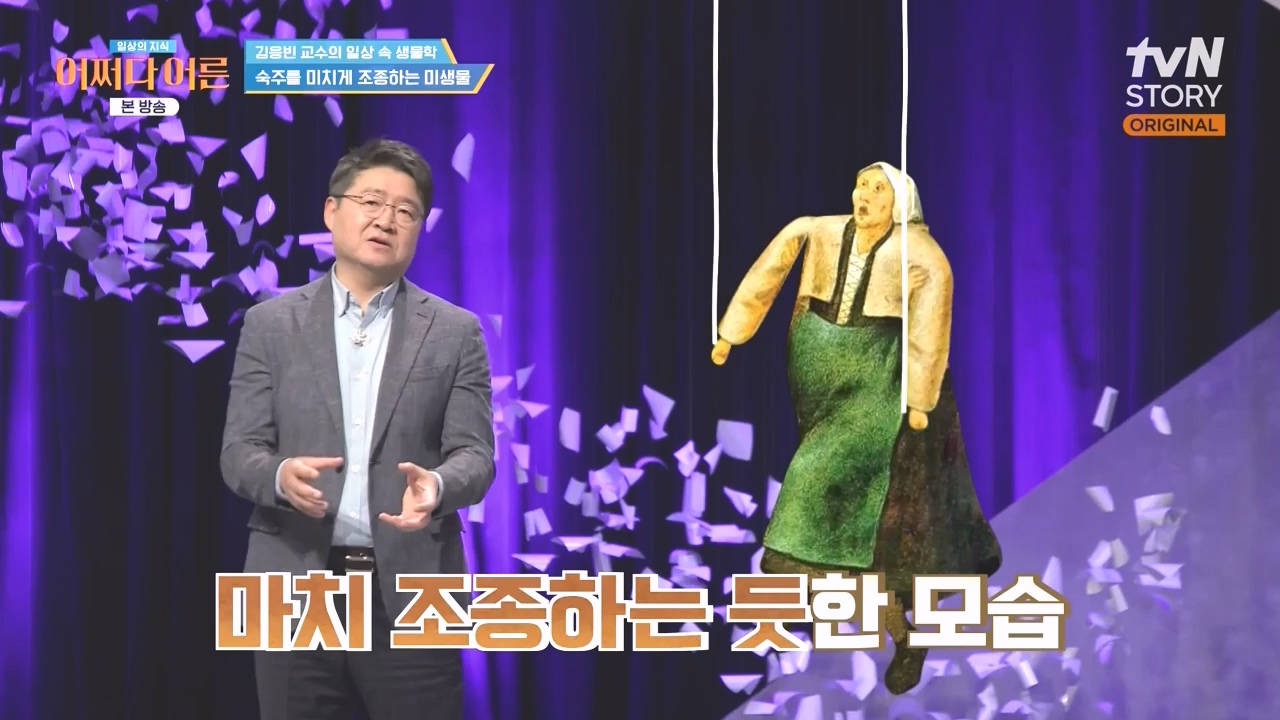 어쩌다 어른.E51.240410p-NEXT.mp4_20240410_180520.702.jpg