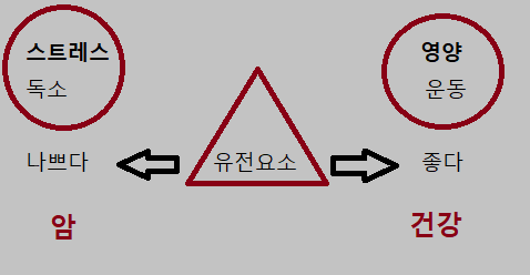  암은 왜 증가하는가? 암 발생 요인.
