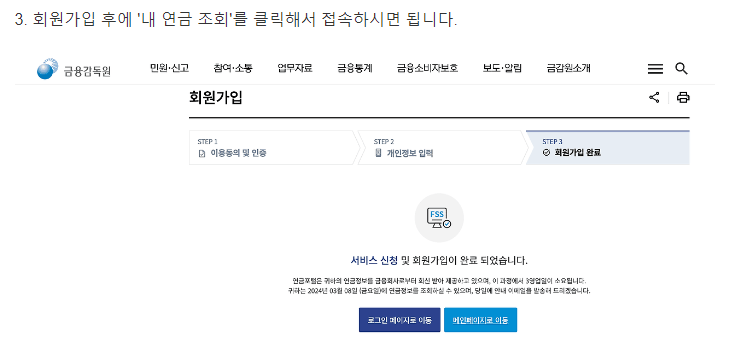 출처: 금융감독원