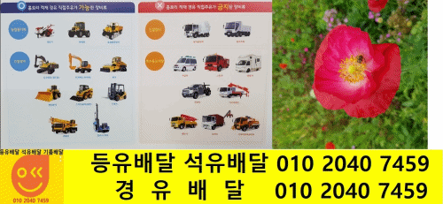  광진구 경유배달 01020407459 광장동 경유배달 구의동 경유배달 군자동 경유배달 노유동 경유배달 능동 경유배달 모진동 경유배달 자양동 경유배달 중곡동 경유배달 화양동 경유배달