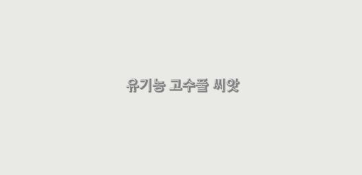  유기농 고수풀 씨앗의 이점