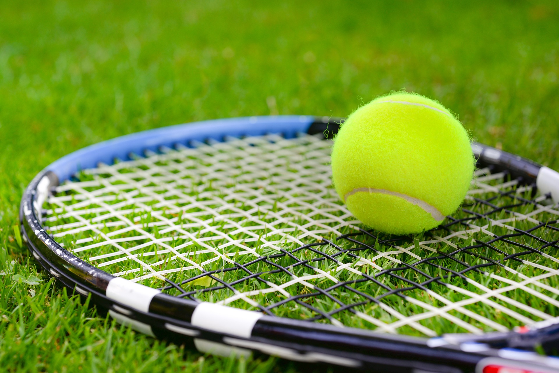 잔디로 된 테니스 코트 사진
