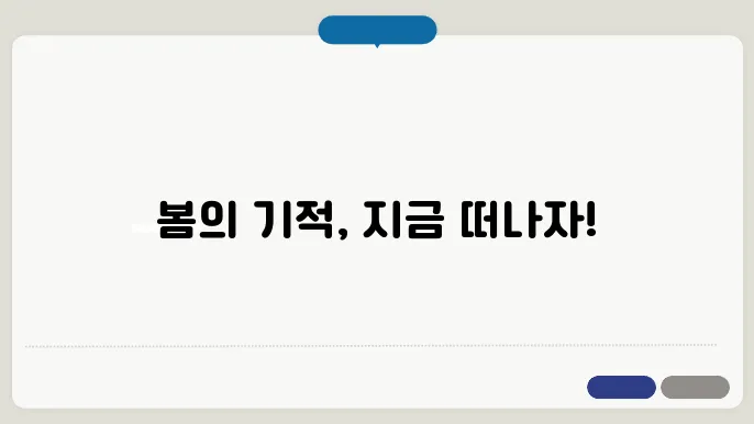다시 찾은 봄, 2024 지역축제로의 특별한 여행