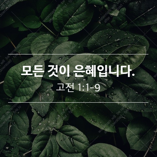  [고전 1:1-9] 모든 것이 은혜입니다.