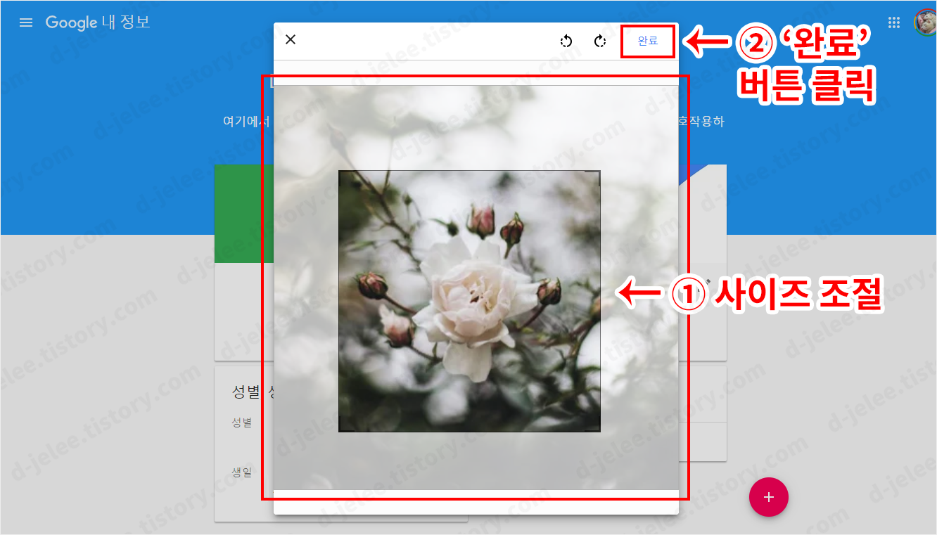 사진 사이즈 조절하는 모습 사진