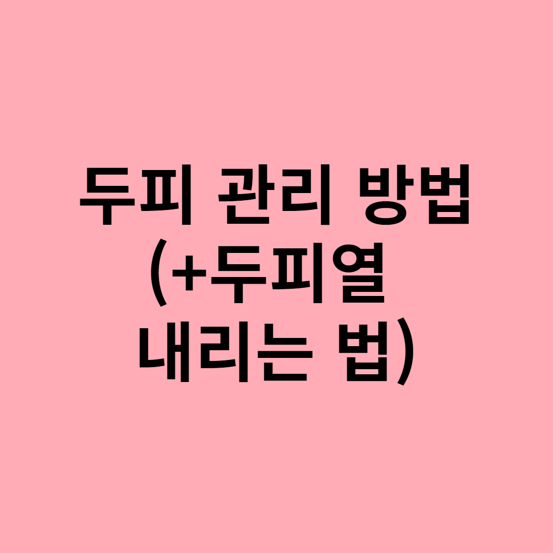  두피관리 방법