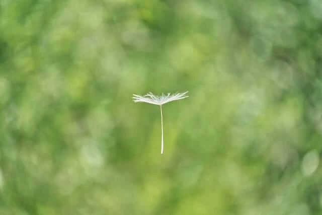 결막염 예방법 총 정리