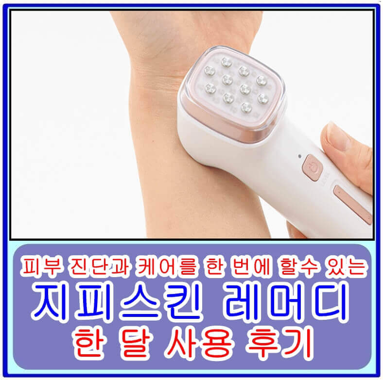 지피스킨 레머디