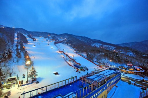 양지 파인 리조트