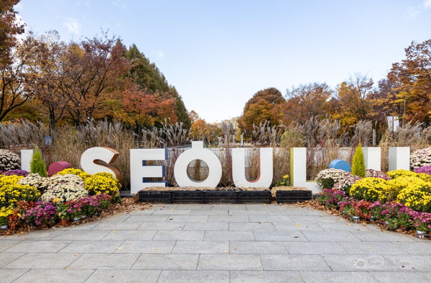 서울 단풍축제 단풍놀이