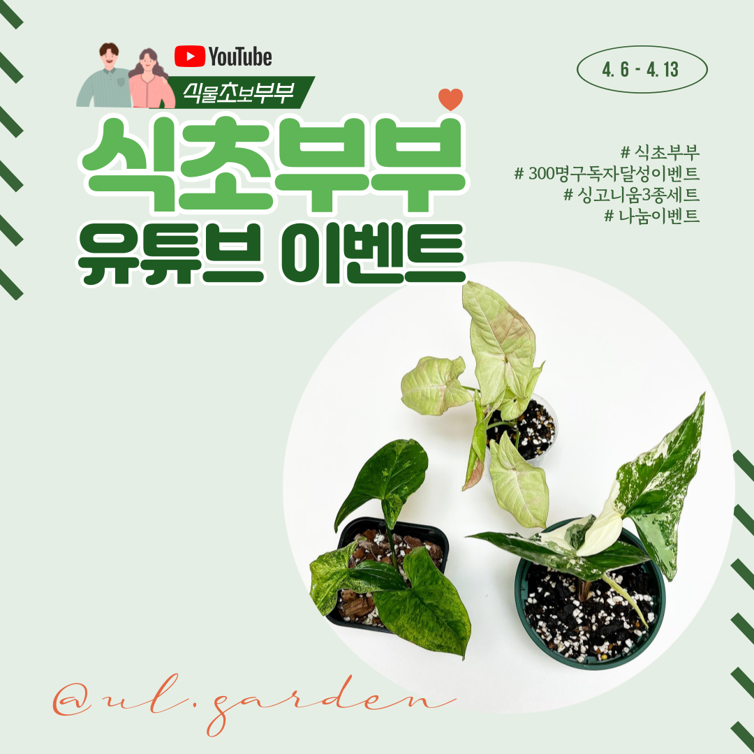  [무료나눔이벤트]  식초부부 유튜브 구독자 이벤트 진행합니다!