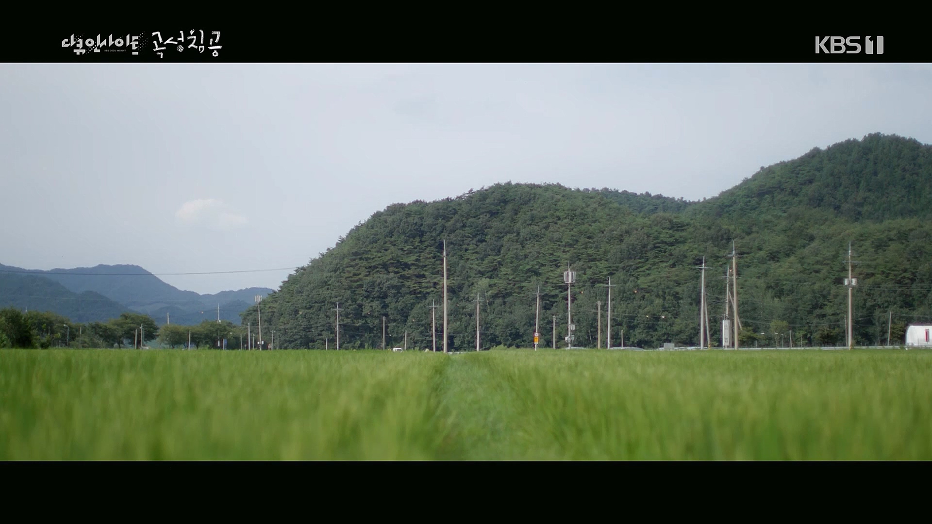 다큐 인사이트.E140.230202p.H264-F1RST.mp4_20230204_191225.839.jpg