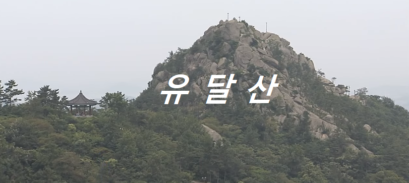 유달산