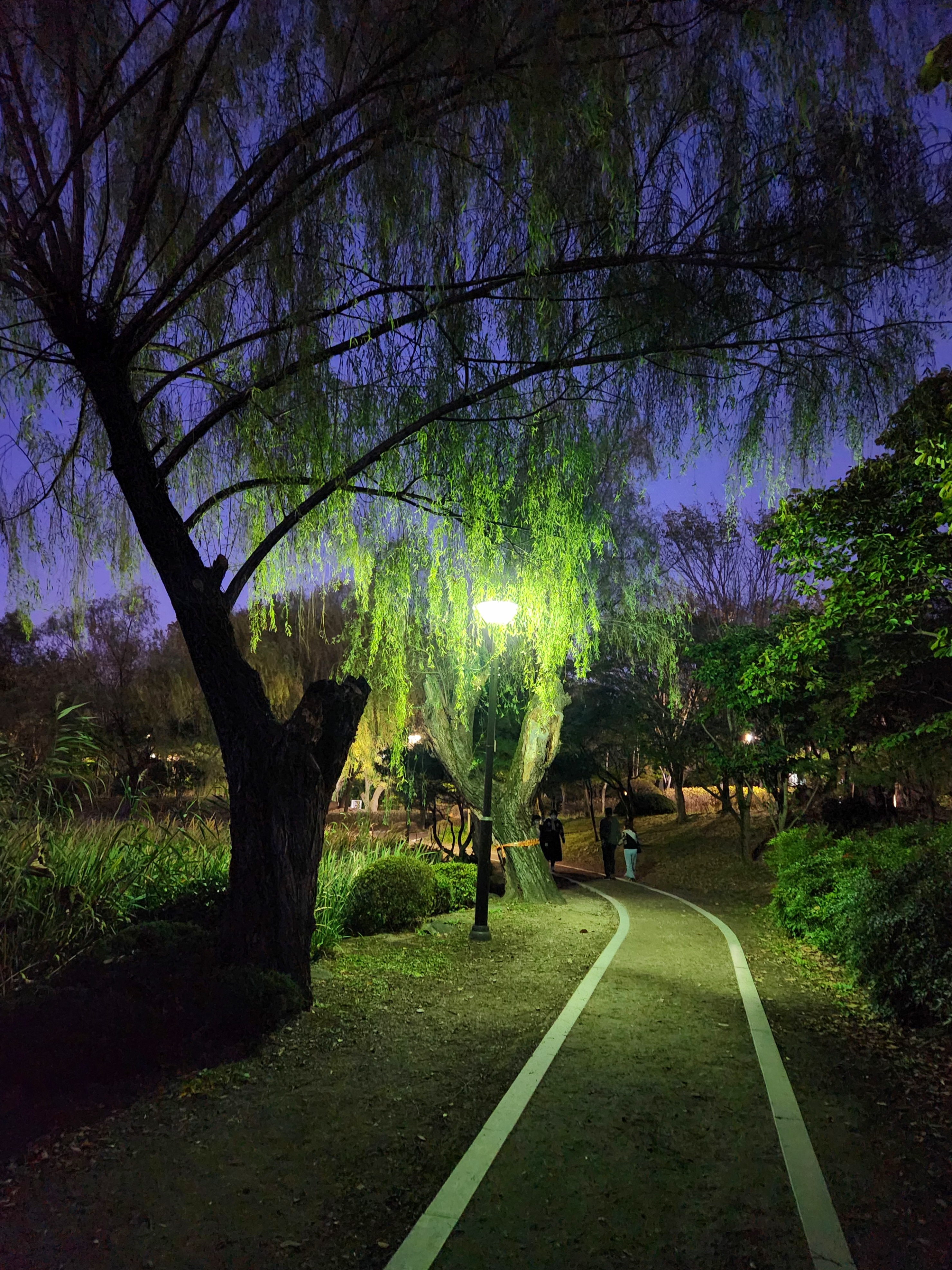 전주 덕진공원