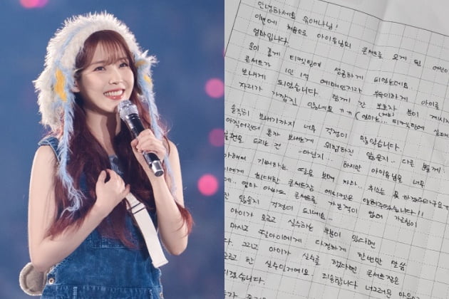가수 아이유. 출처 EDAM엔터테인먼트, 온라인 커뮤니티, 한국경제