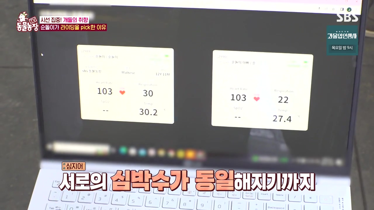 TV 동물농장.E1152.231232p-NEXT.mp4_20231231_165749.964.jpg