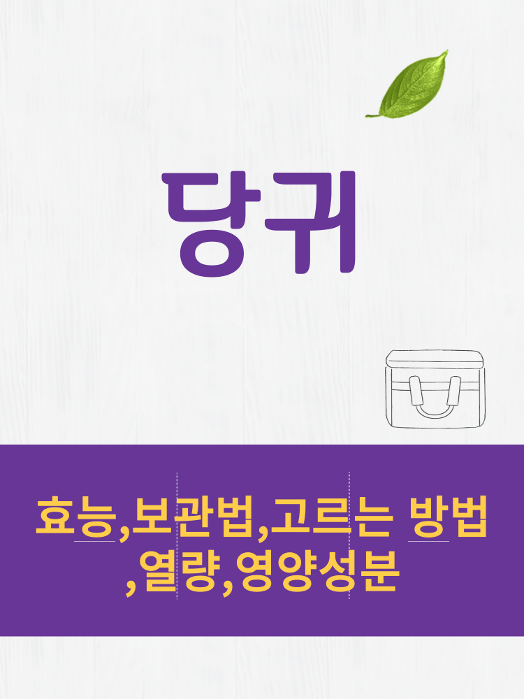  당귀  효능 및 열량과 보관법 칼로리 총정리 