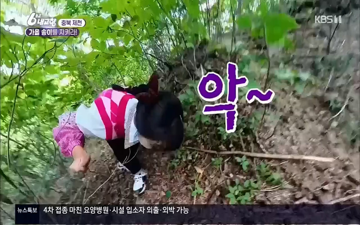 6시 내고향.E7630.221004p.H264-F1RST.mp4_20221004_213252.258.jpg