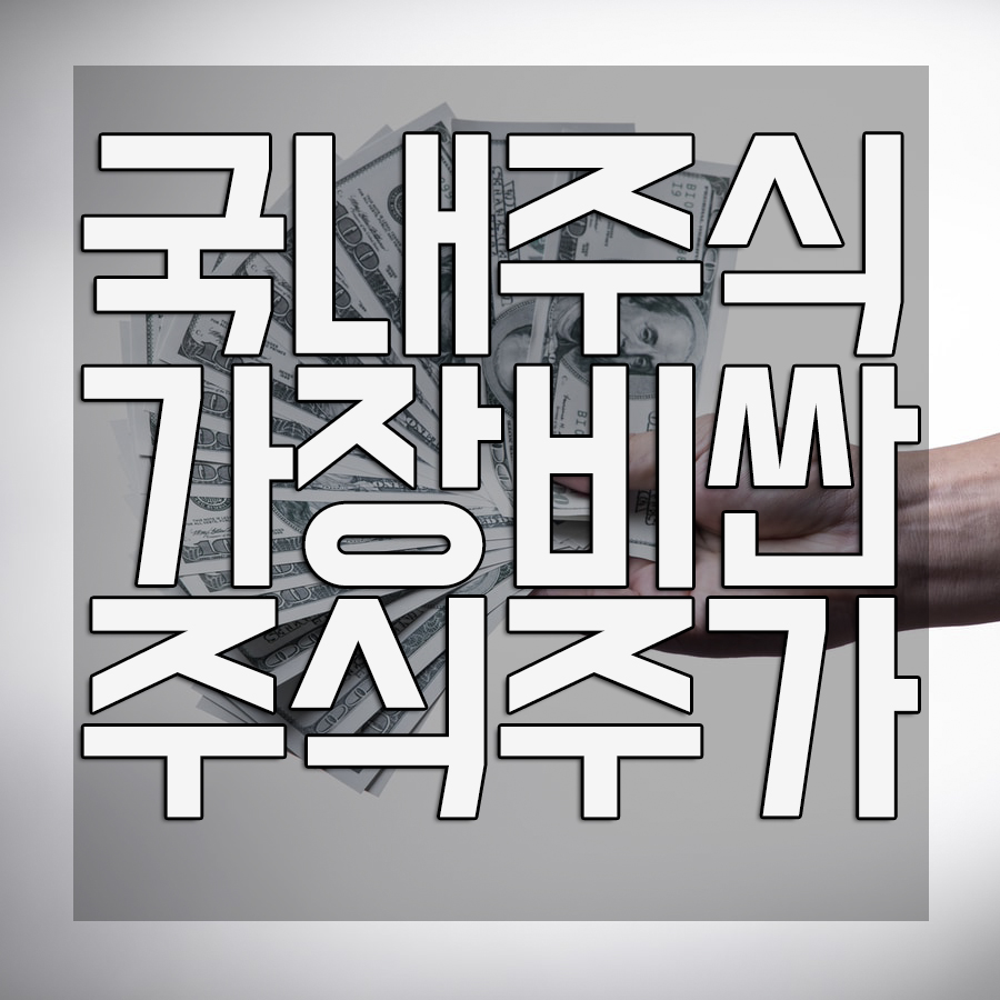  국내주식 중 가장 비싼 주식 주가는 얼마일까? 그리고 전망은?(1주 줍줍)