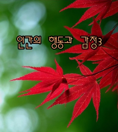  인간의 행동과 감정 - 해몽3;감미로움,평안,공포감,불안감,분노,위로 등.