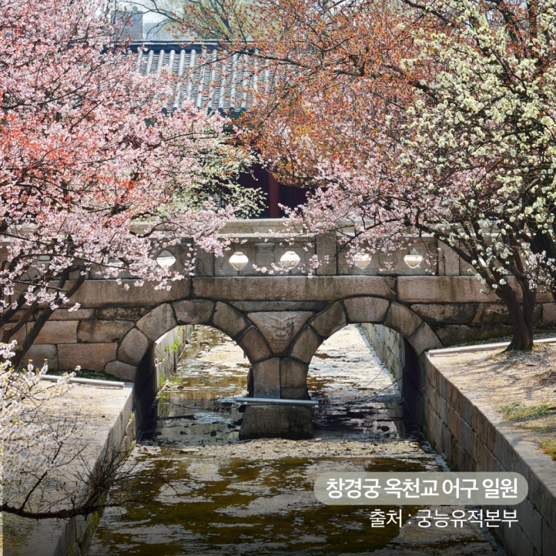 창칭궁의 봄꽃 사진 (출처: 자금성청)
