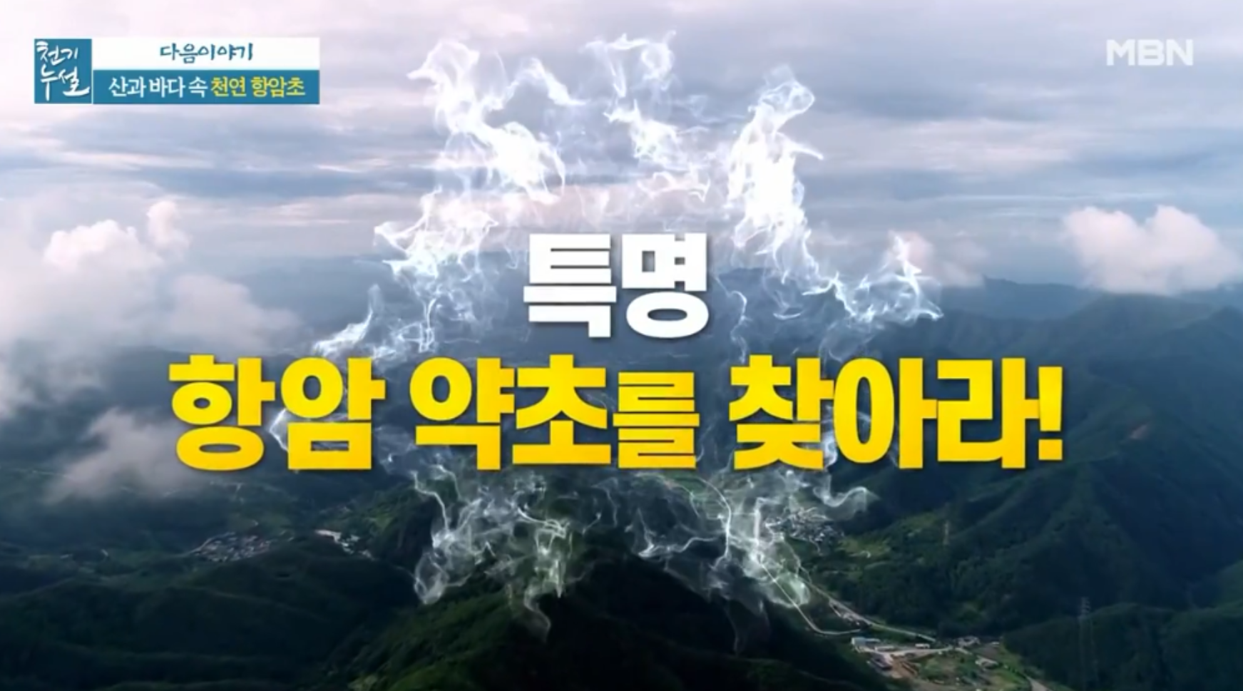  (천기누설)천연항암약초 돌미역일엽초후코이단천마효능부작용 일엽초차먹는방법레시피 천마청생천마주스만드는법1%의특별함산과바닷속항암약초를찾아라471회 0618
