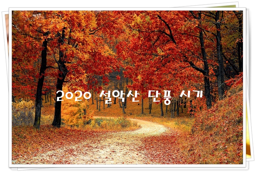  2020 설악산 단풍 시기