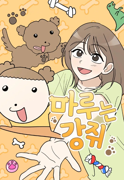 가사마루 이미지