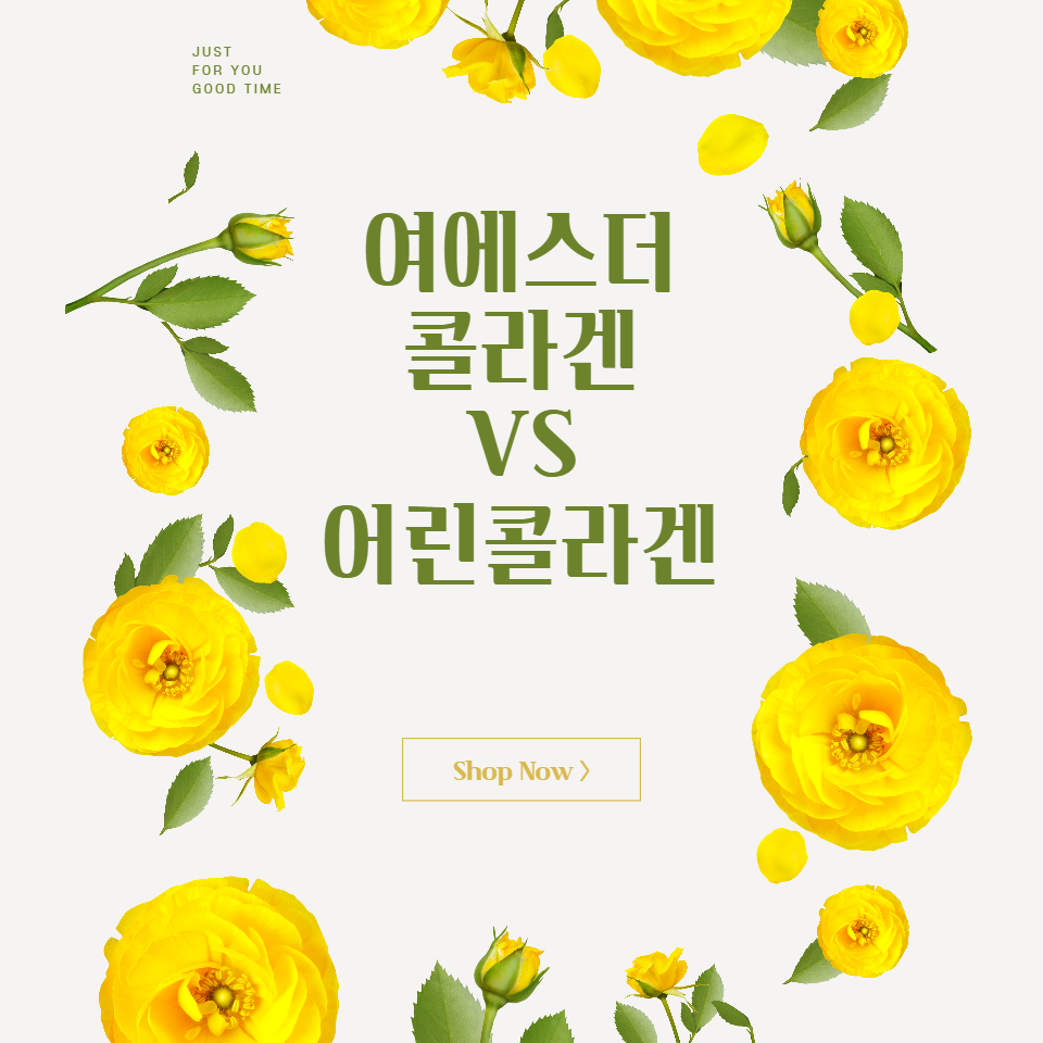  여에스더 콜라겐과 여에스더 어린 콜라겐 비교 후기 알아보자