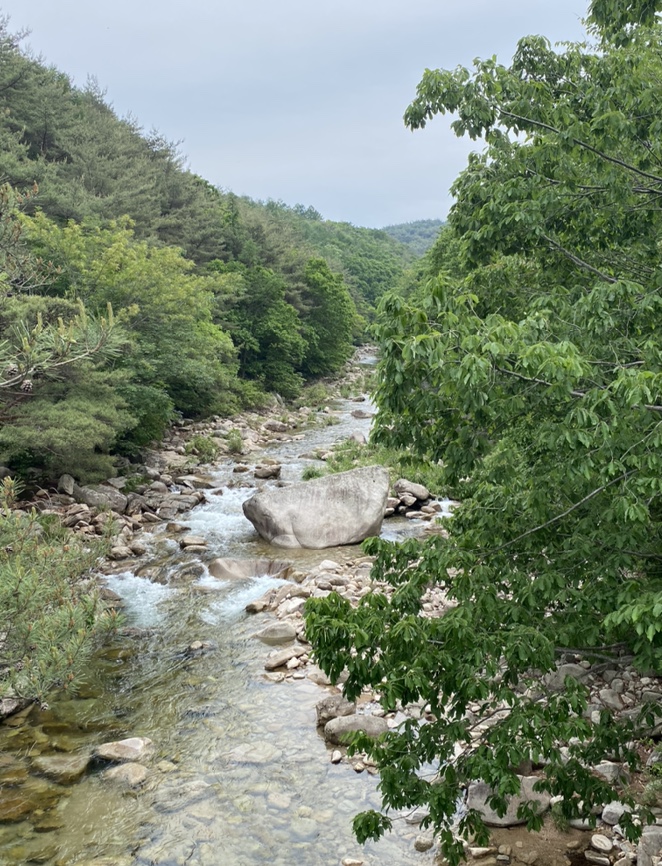 여름산으로 추천하는 괴산 칠보산(778m) 숲속을 거니는 듯 시원해 65