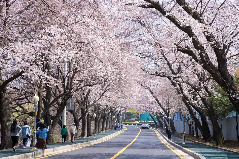 (주)은파 이미지
