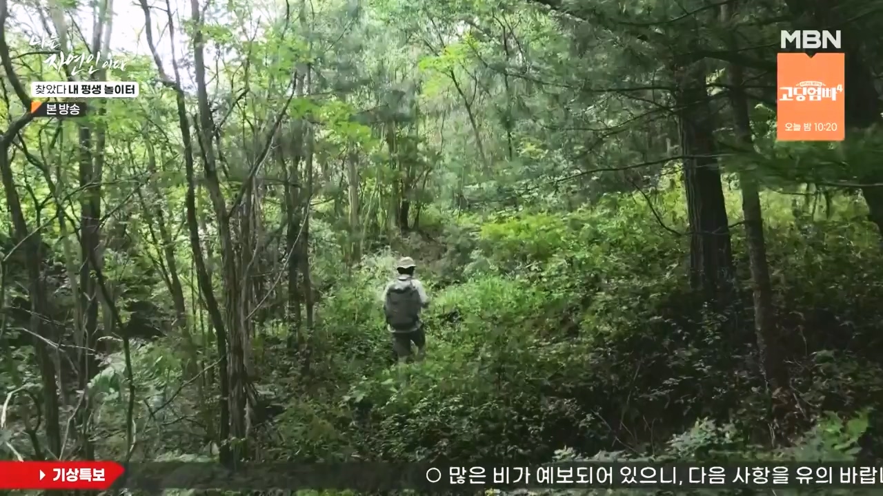 나는 자연인이다.E569.230831p-NEXT.mp4_20230831_201755.364.jpg