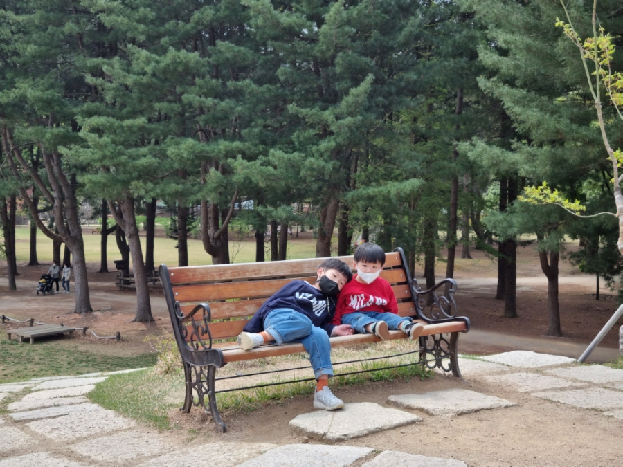 남이섬 배시간표 남이섬 배시간표, 할인 방법, 40