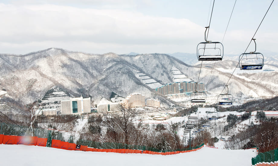 비발디 파크