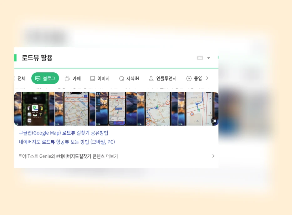 로드뷰 활용_1_subsection