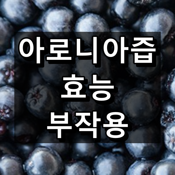 아로니아즙 효능과 부작용