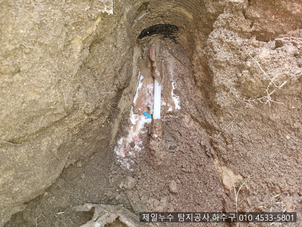  동명누수 제일누수 탐지공사.하수구 칠곡군 동명면 기성리 1층 단독주택 누수현장
