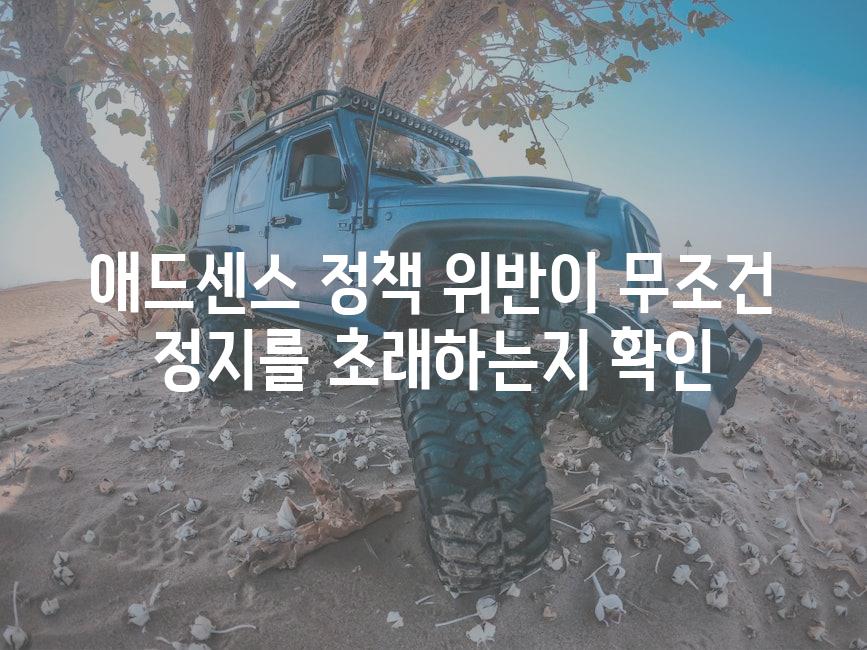 애드센스 정책 위반이 무조건 정지를 초래하는지 확인