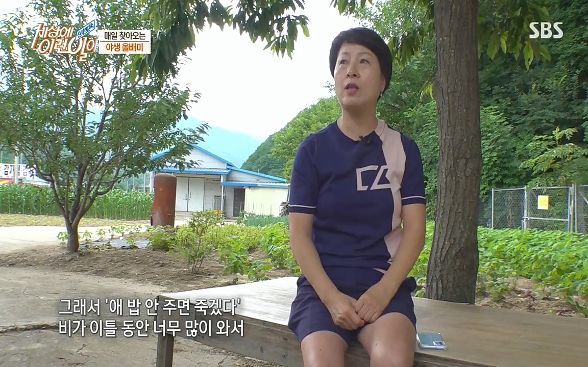 순간포착 세상에 이런일이.E1189.220720p-NEXT.mp4_20220720_200920.105.jpg