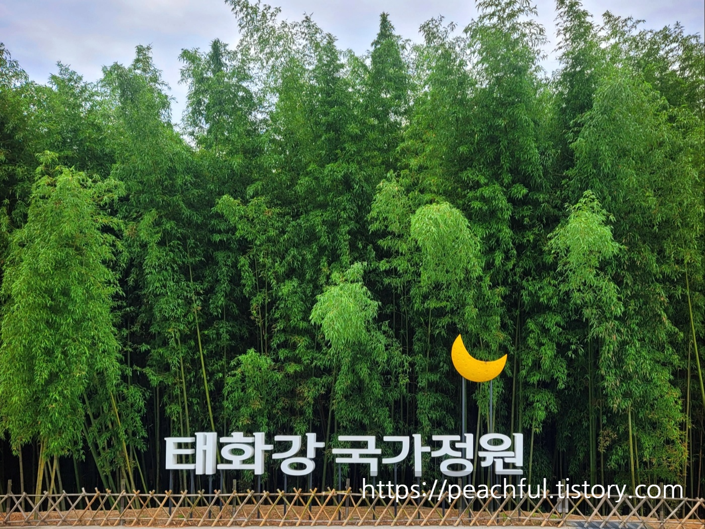  [울산] 태화강 국가정원 방문기