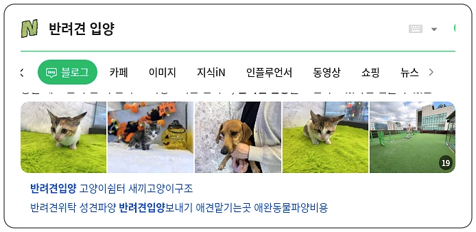 반려견 입양_1_subsection