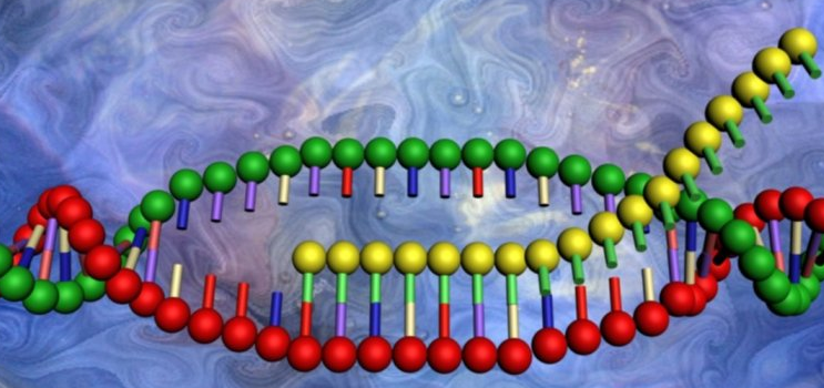  RNA 란 무엇인가요?