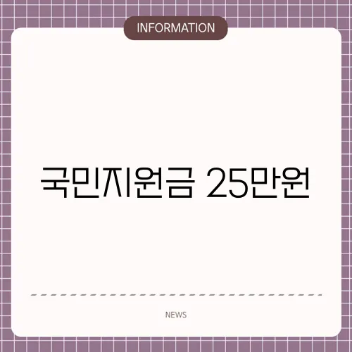 국민지원금 25만원