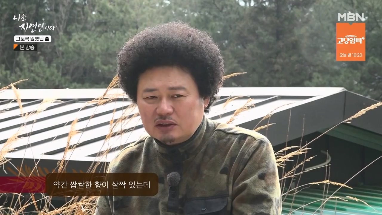 나는 자연인이다.E591.240132p-NEXT.mp4_20240201_195744.403.jpg