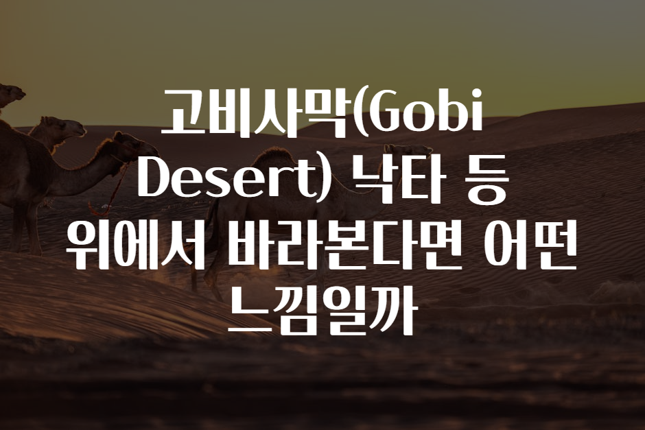 고비사막(Gobi Desert) 낙타 등 위에서 바라본다면 어떤 느낌일까 고비사막(Gobi Desert) 낙타 등 위에서 바라본다면 어떤 느낌일까