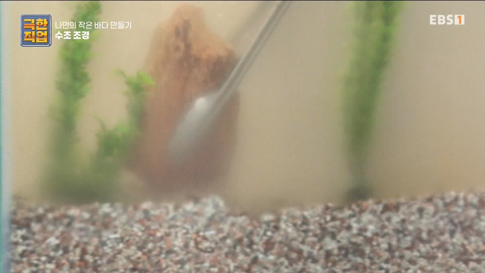 [극한 직업] 수조 조경.mp4_20230822_204223.166.jpg